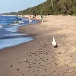 Alex Przy Plaży