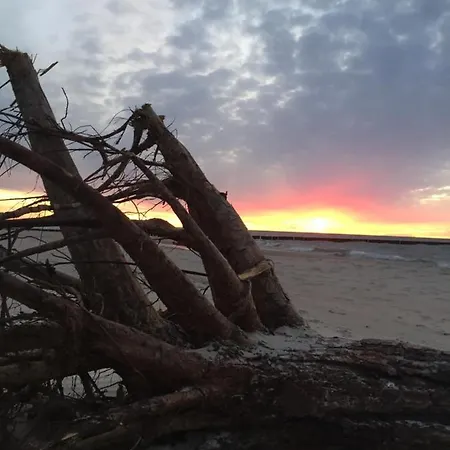 Alex Przy Plazy * Dziwnówek