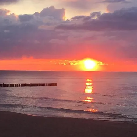 Alex Przy Plazy Dziwnówek