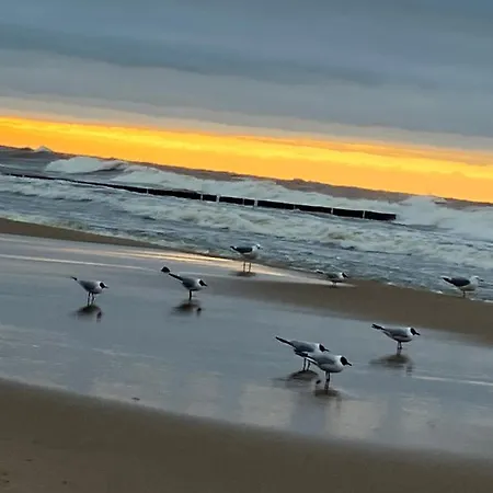 Alex Przy Plazy Casa de Férias