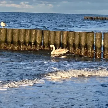 Casa de Férias Alex Przy Plazy