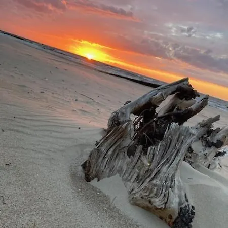 Alex Przy Plazy * Dziwnówek