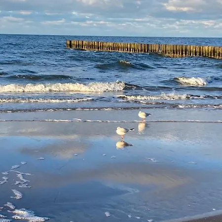 Feriehus Alex Przy Plazy *