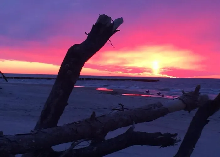 Prázdninový dům Alex Przy Plazy *