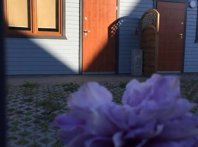 Alex Przy Plazy Dziwnówek