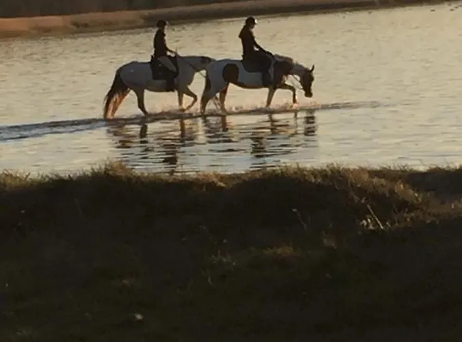 Alex Przy Plazy Dziwnówek