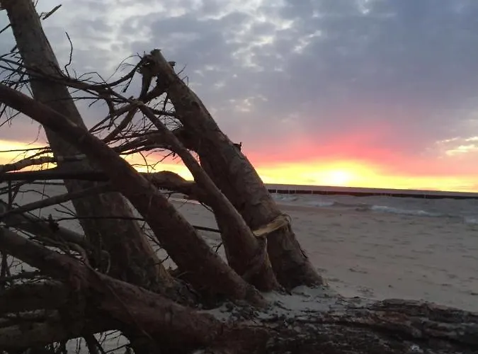 Alex Przy Plazy * Dziwnówek