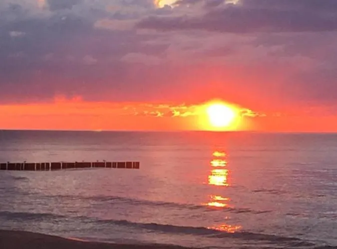 Alex Przy Plazy Dziwnówek