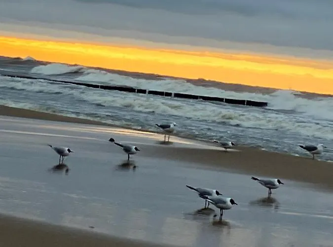 Alex Przy Plazy Prázdninový dům