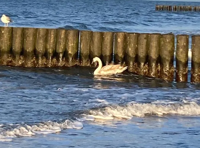 Сasa de vacaciones Alex Przy Plazy