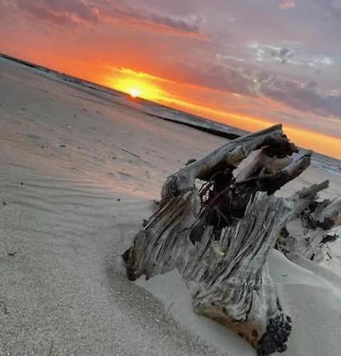 Alex Przy Plazy * Dziwnówek